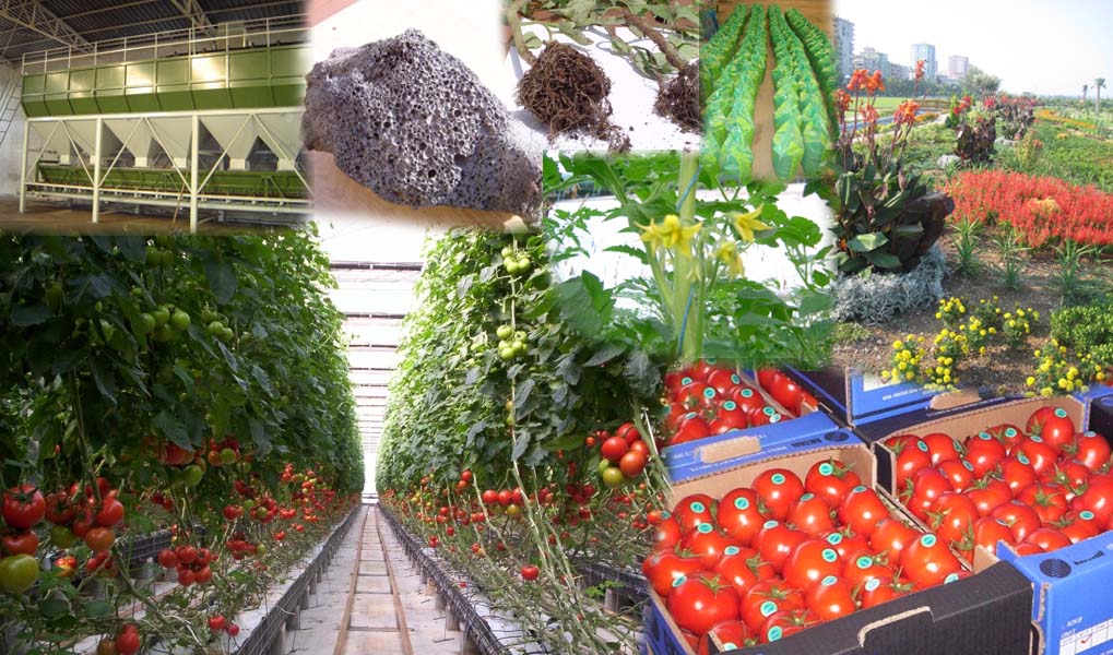 Hakkımızda - Alternatif Tarım